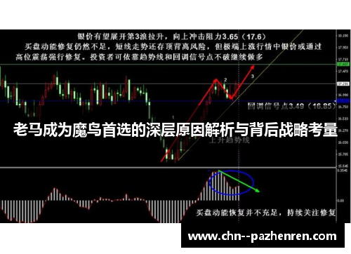 老马成为魔鸟首选的深层原因解析与背后战略考量 老马成为魔鸟首选的深层原因解析与背后战略考量