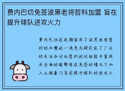费内巴切免签波黑老将哲科加盟 旨在提升球队进攻火力